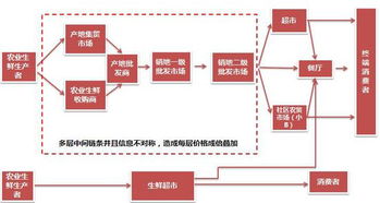 招商零售这一年 深耕产业 差异研究