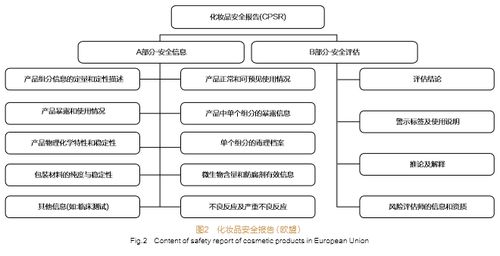 化妆品产品安全与风险管理 ⅱ