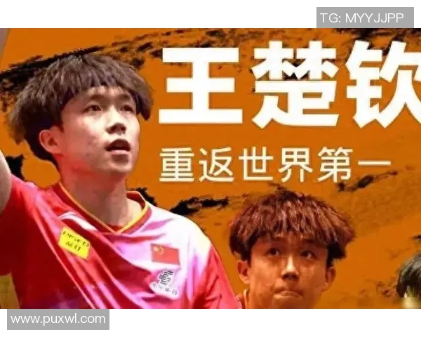 乒乓球的变革之旅：探寻北京乒乓球队的转型与发展历程